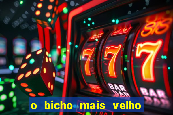 o bicho mais velho da loteria dos sonhos